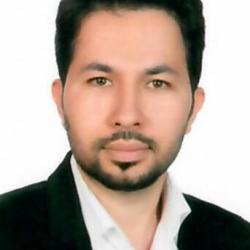 Dr Mirshokraiee