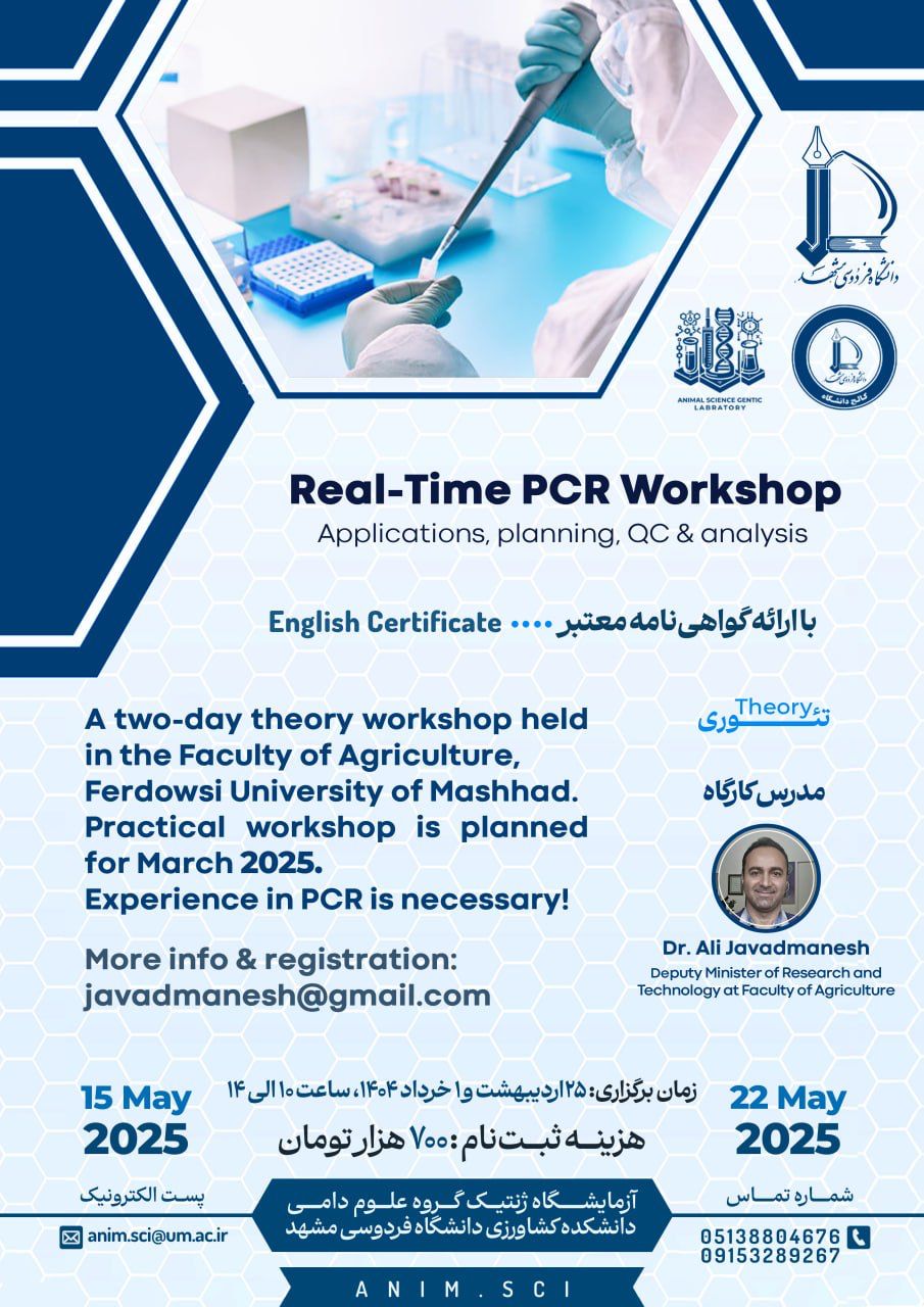 Real Time PCR Real Time PCR